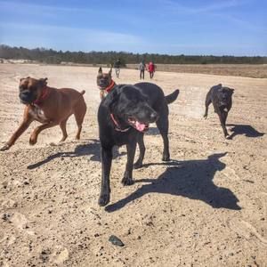 Meet your Posher, Matthew